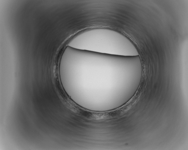 X0000116590351200912101337