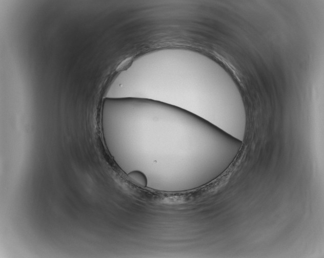 X0000116590353200912101337
