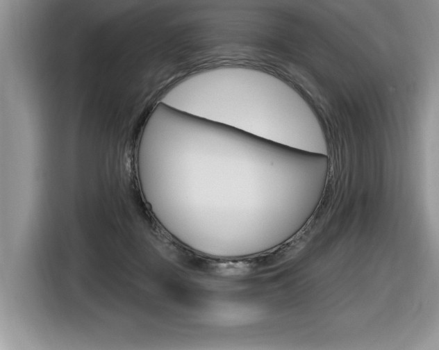 X0000116590363200912101337