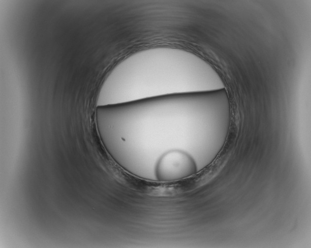 X0000116590366200912101337