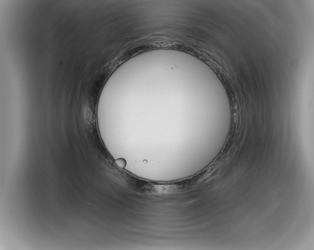 X0000116590371200912101337