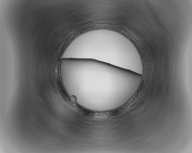 X0000116590373200912101337
