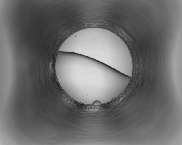 X0000116590377200912101337