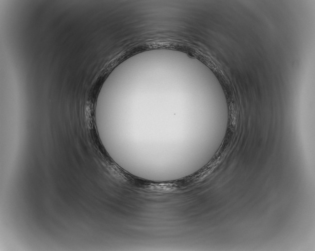 X0000116590378200912101337