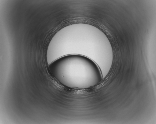 X0000116590382200912101337