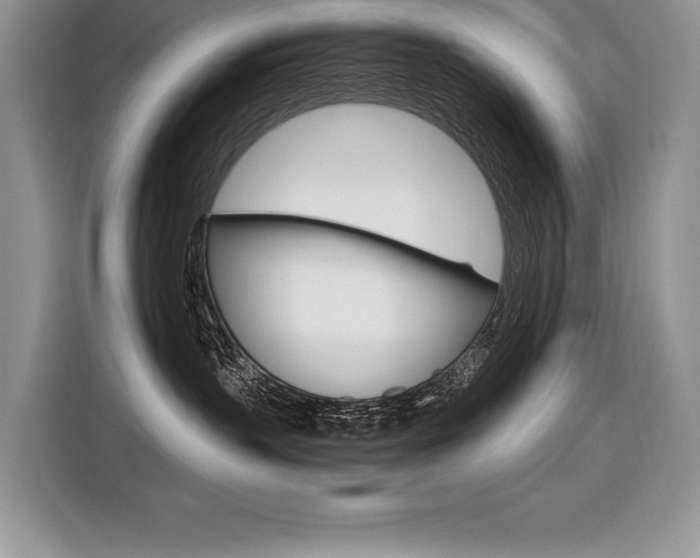 X0000116590383200912101337