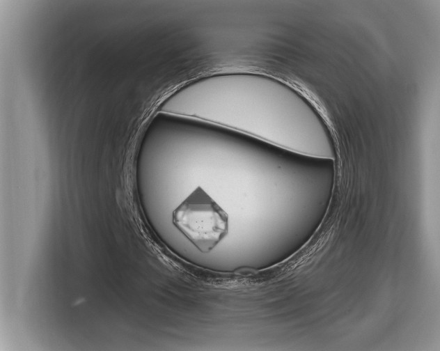 X0000116590385200912101337