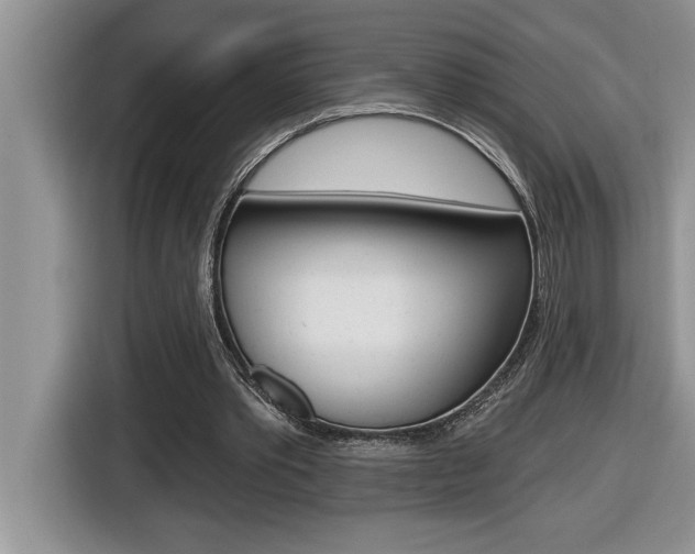 X0000116590389200912101337