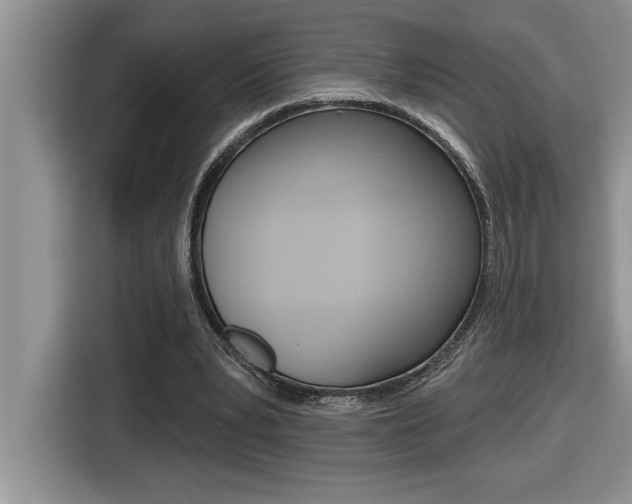 X0000116590391200912101337