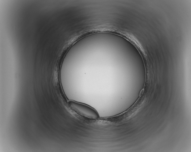 X0000116590393200912101336