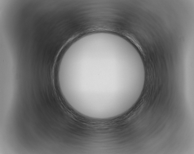 X0000116590395200912101336