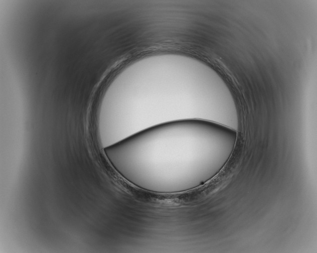 X0000116590396200912101336