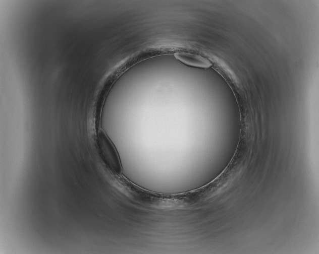 X0000116590399200912101336