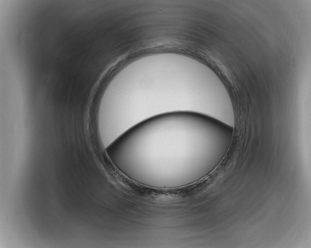 X0000116590400200912101336