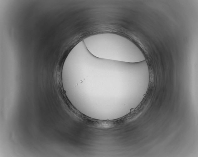 X0000116590402200912101336
