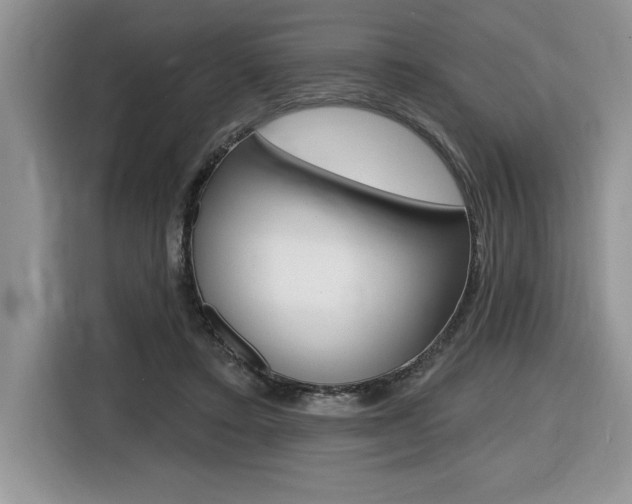 X0000116590403200912101336