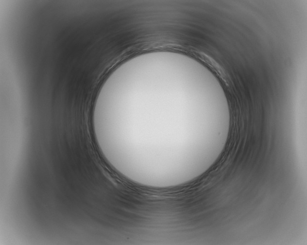X0000116590405200912101336