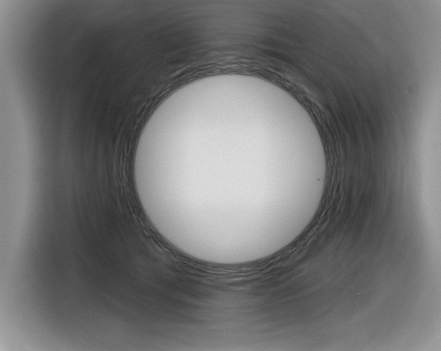 X0000116590417200912101336