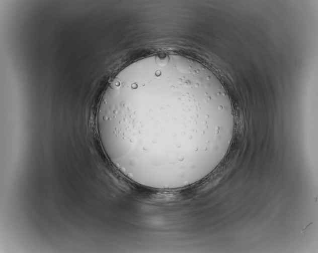 X0000116590418200912101336