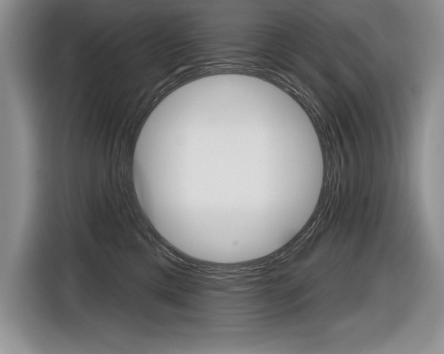 X0000116590425200912101336