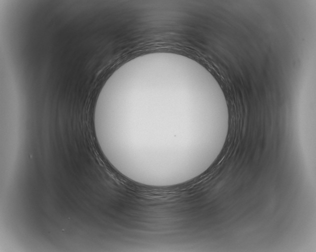 X0000116590427200912101336