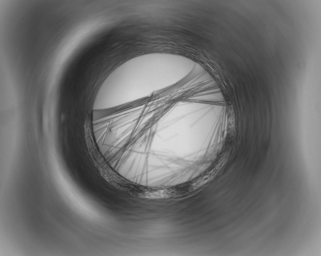 X0000116590430200912101336