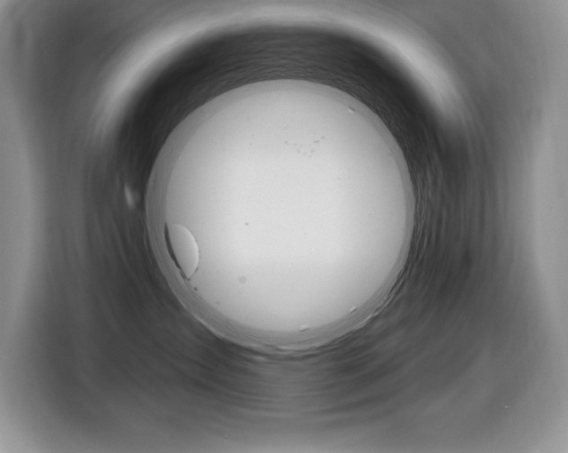 X0000116590431200912101336