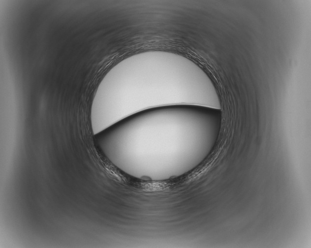 X0000116590432200912101336