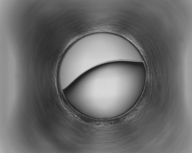 X0000116590434200912101335