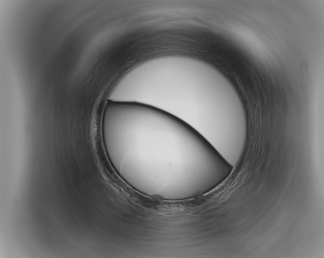 X0000116590435200912101335
