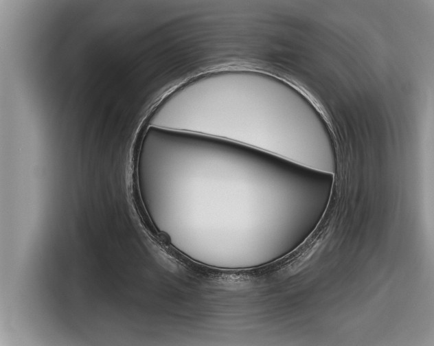 X0000116590437200912101335