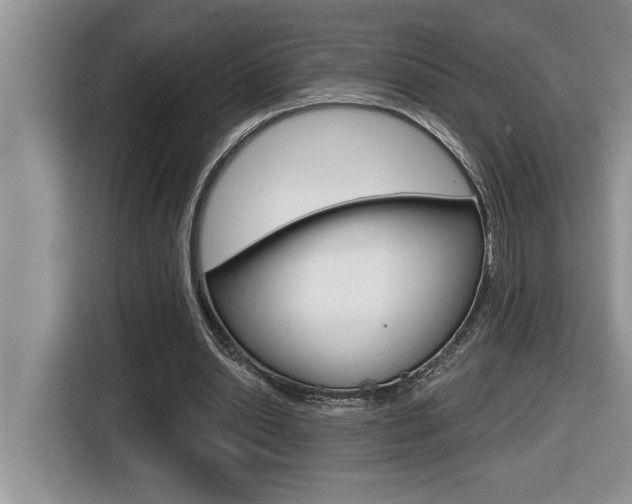 X0000116590438200912101335