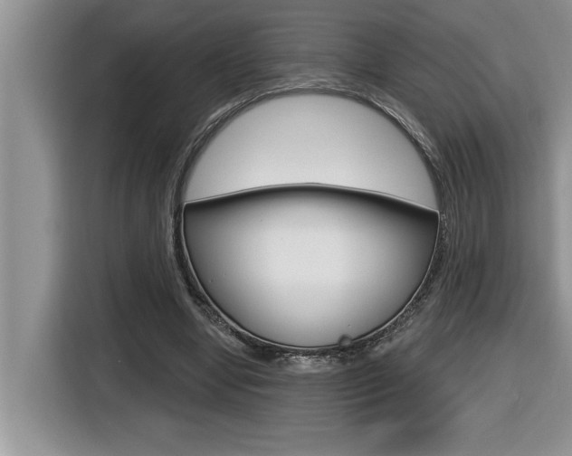 X0000116590442200912101335