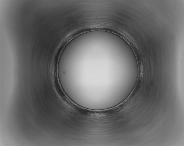X0000116590444200912101335