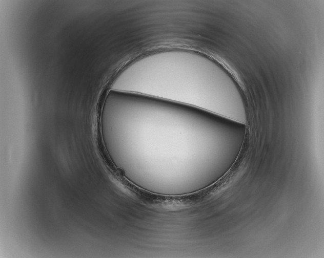 X0000116590445200912101335