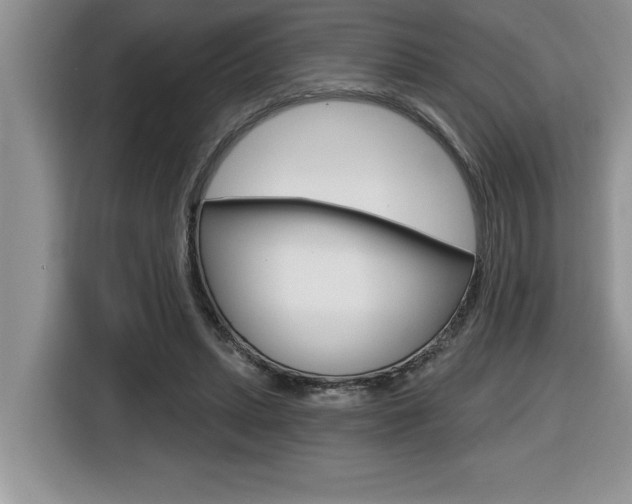 X0000116590447200912101335