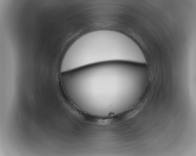 X0000116590450200912101335