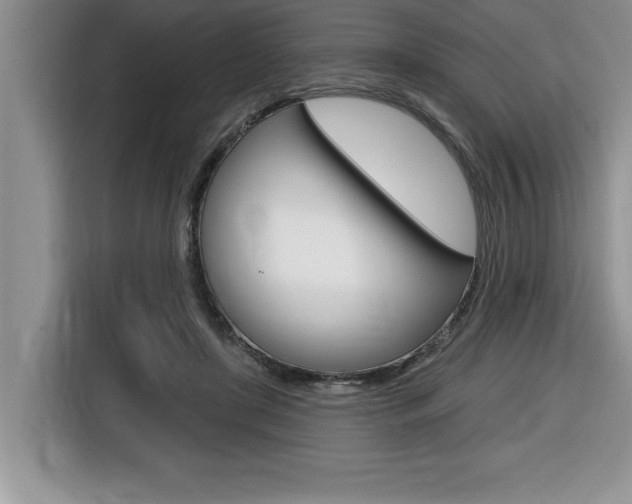 X0000116590451200912101335