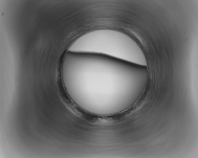 X0000116590455200912101336