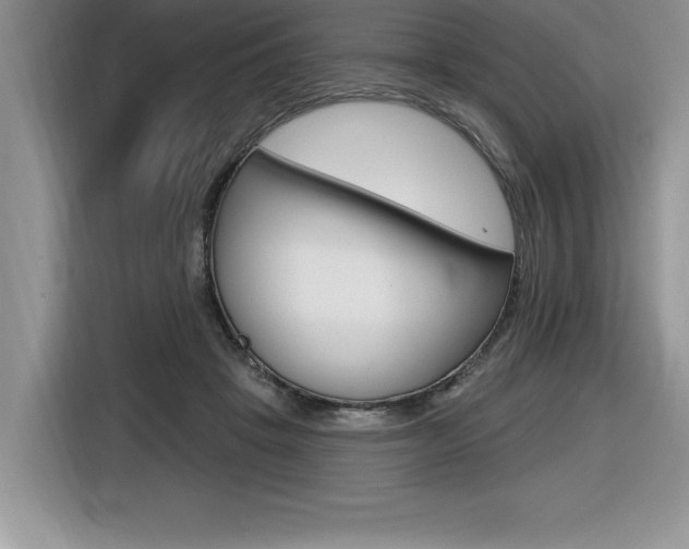 X0000116590457200912101336