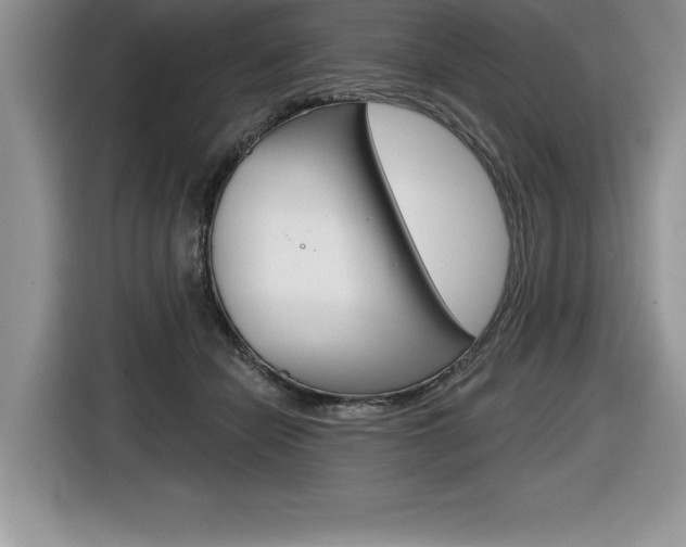 X0000116590462200912101336