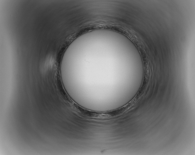 X0000116590463200912101336