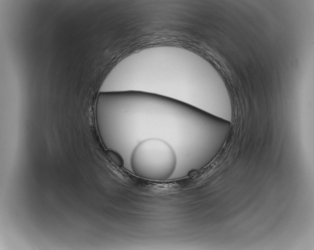 X0000116590465200912101336