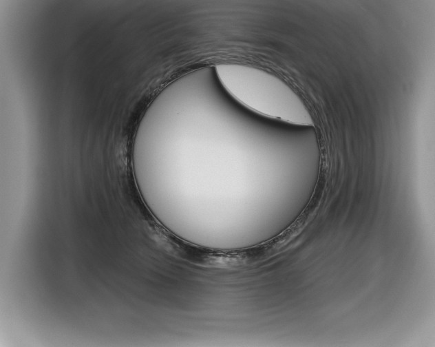 X0000116590466200912101336