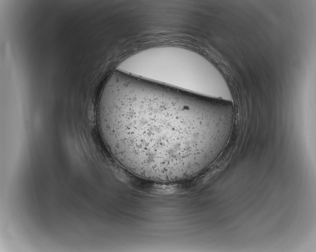 X0000116590469200912101336