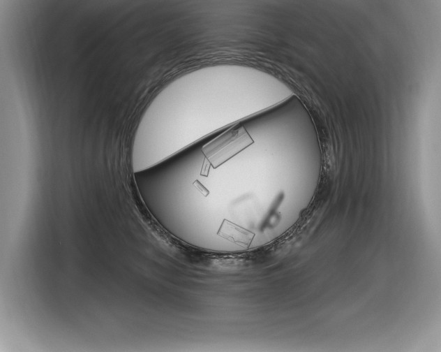 X0000116590470200912101336