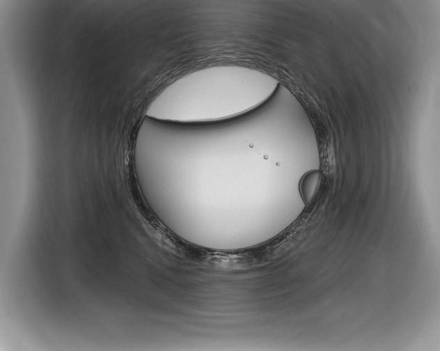 X0000116590472200912101336