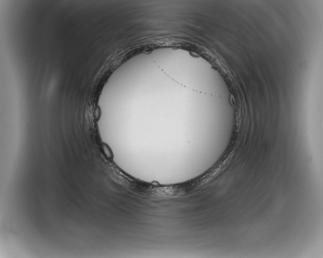 X0000116590473200912101336