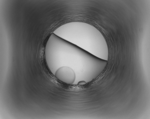 X0000116590475200912101336