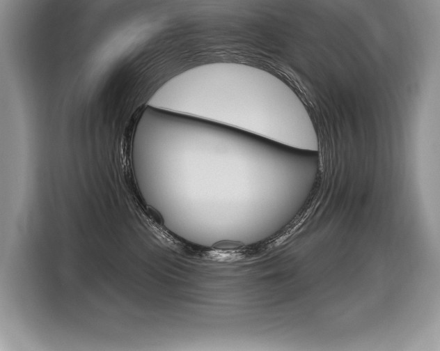 X0000116590477200912101336